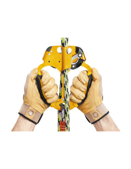 Puño bloqueador doble para poda Petzl ASCENTREE