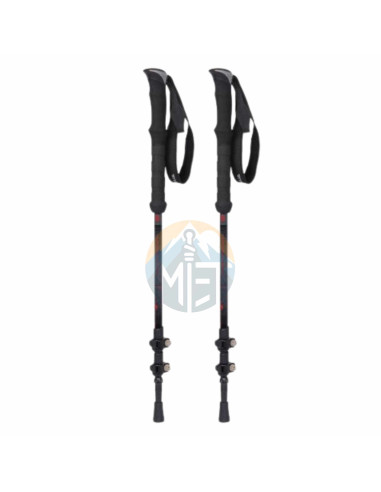 Bastones de Trekking | TERNUA Anaik Pole Black Pack de 2